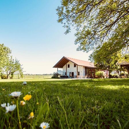 Sonnenblumenhof Guest House Mühlheim Екстериор снимка