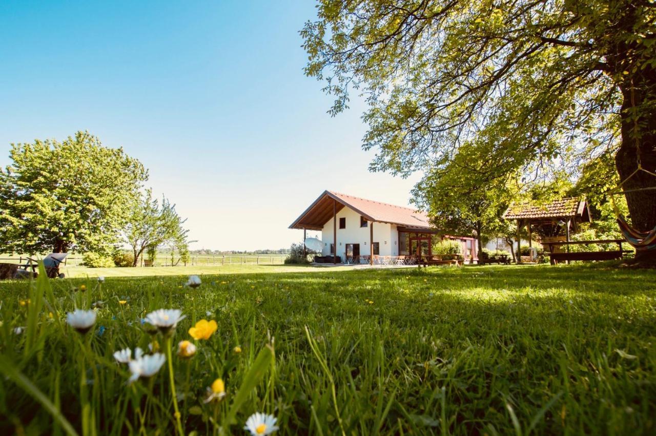 Sonnenblumenhof Guest House Mühlheim Екстериор снимка