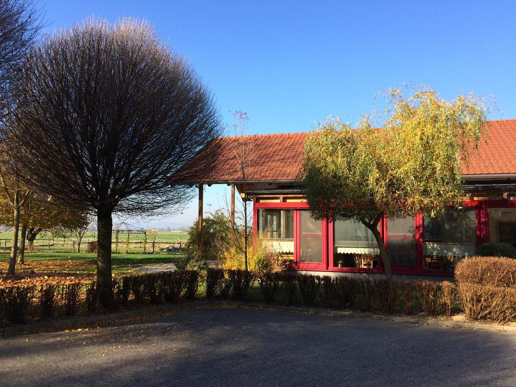 Sonnenblumenhof Guest House Mühlheim Екстериор снимка